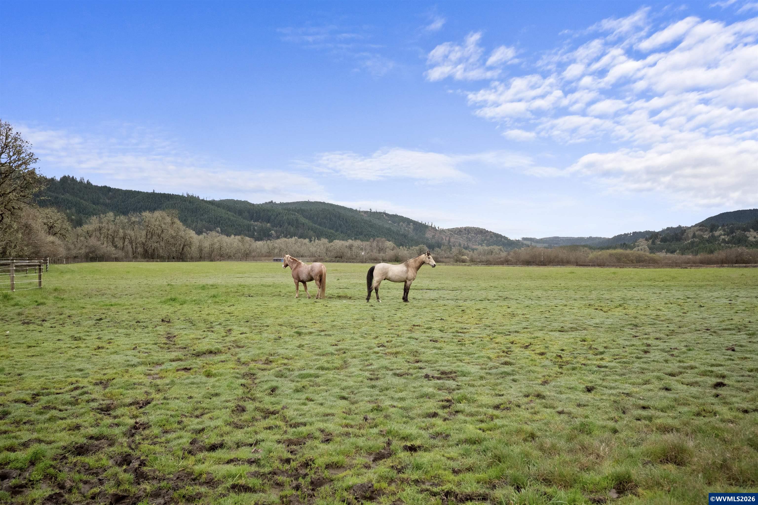 26630 Thomson Mill Road Sheridan, OR 97378 - Photo 31 of 36