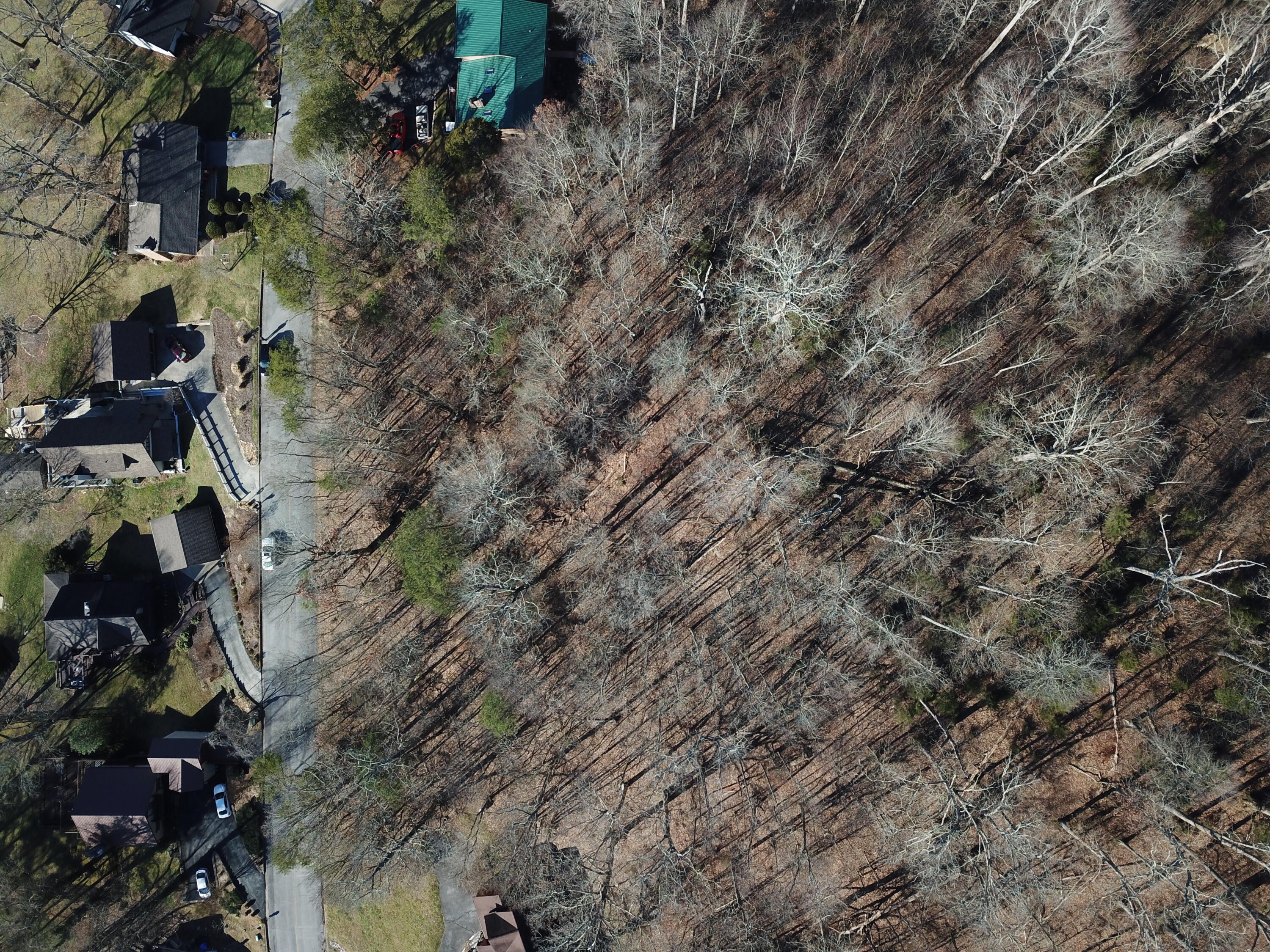 Lot 9 Lakeshore Road, Unit 9 Bluff City, TN 37618 - Photo 5 of 10 DJI_0919