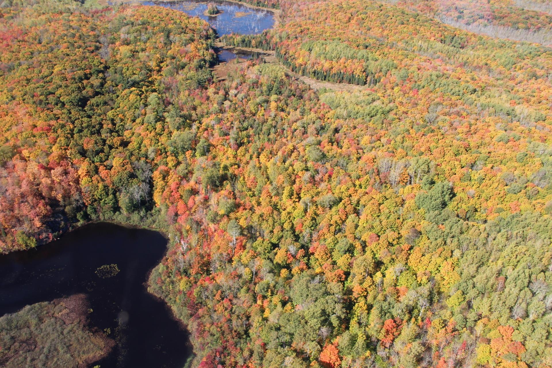 63999 Wolanek Road, Unit 313 ACRES Marengo, WI 54855 - Photo 52 of 93