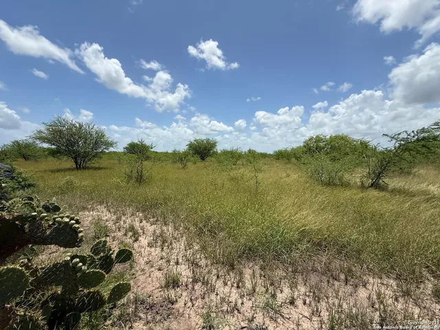 a view of a lake with a yard