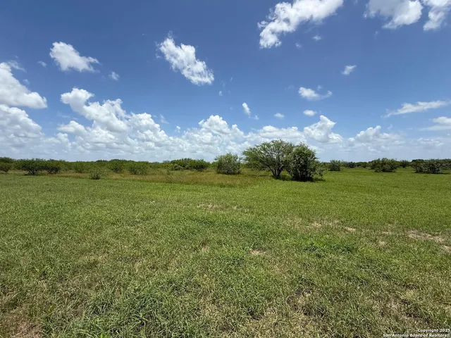 $95,000 | Tbd 10-acres Cr 158, Kenedy, TX 78119