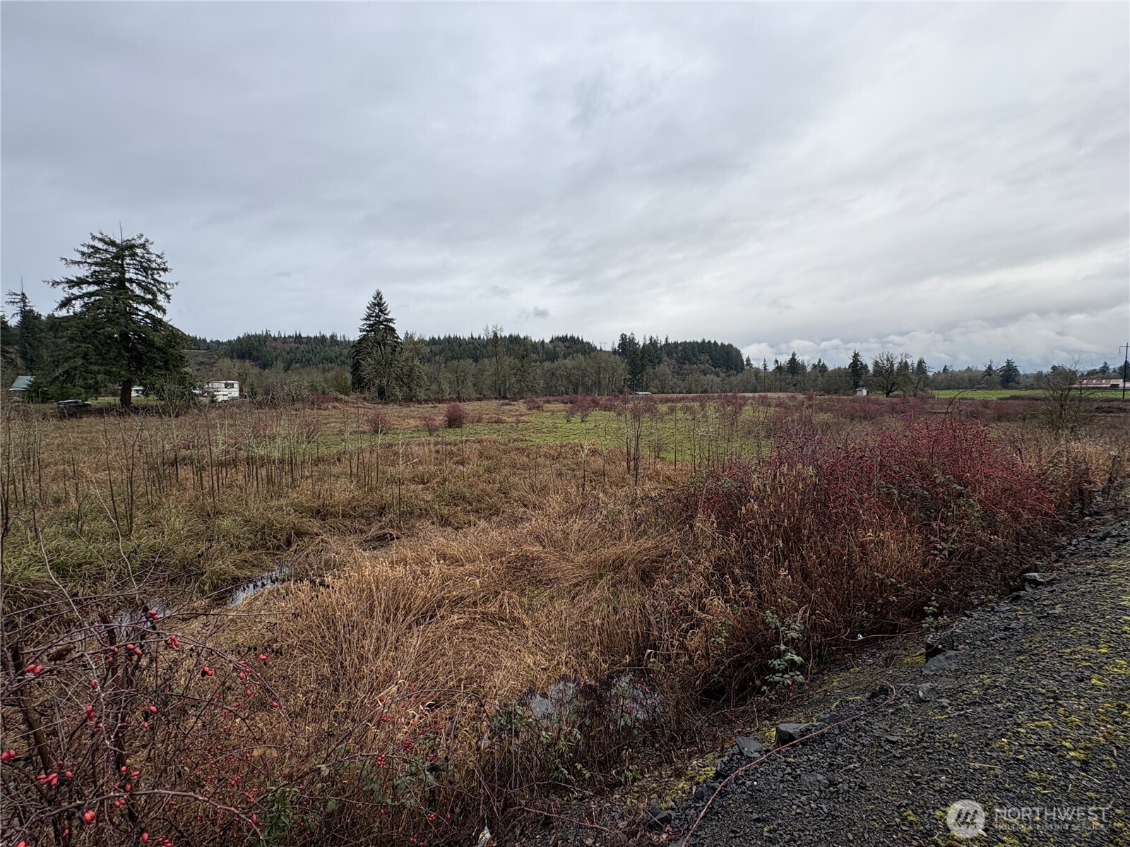 218 Lincoln Creek Road Centralia, WA 98531 - Photo 11 of 11 a view of mountain with lake view and mountain view