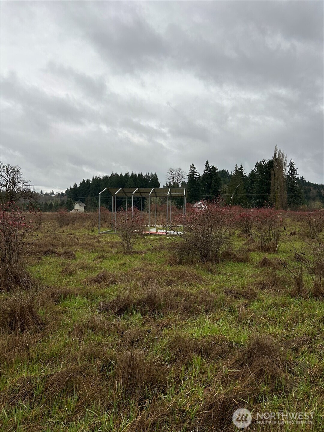 218 Lincoln Creek Road Centralia, WA 98531 - Photo 5 of 11 a view of a lake with houses in the back