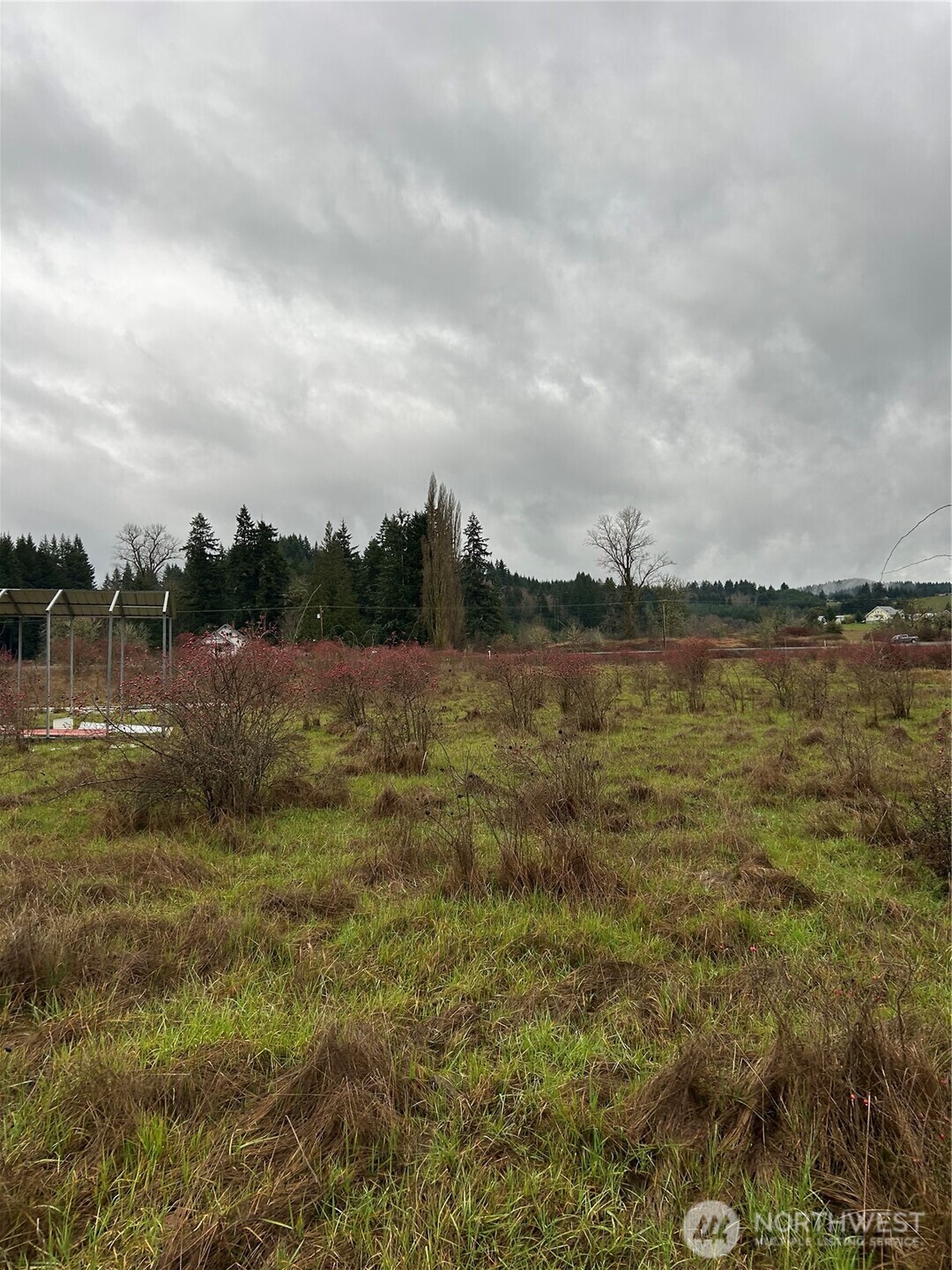 218 Lincoln Creek Road Centralia, WA 98531 - Photo 9 of 11 a view of a lake with houses in the back