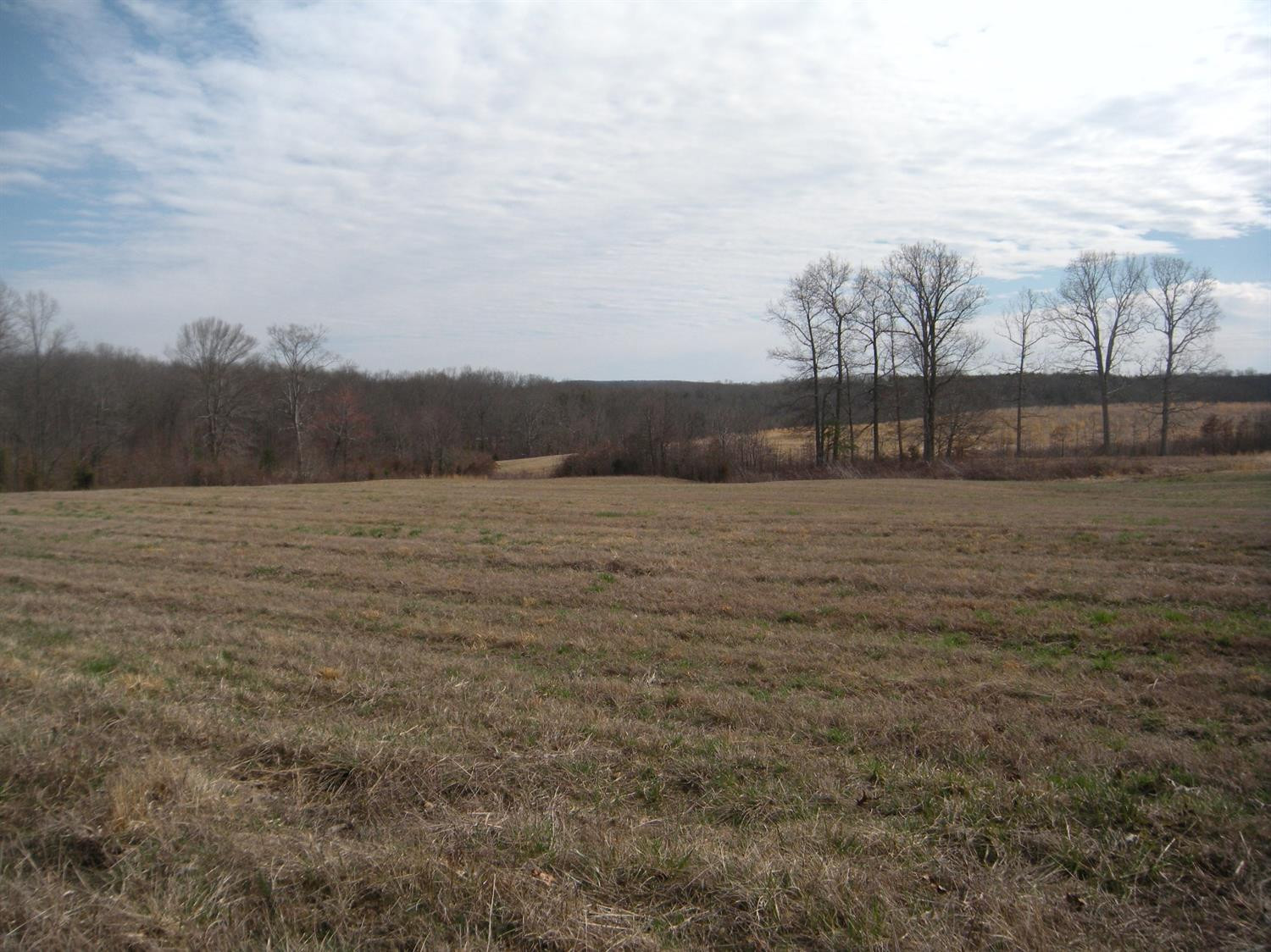 111111 Adams Road Owingsville, KY 40360 - Photo 1 of 5 Photo 1