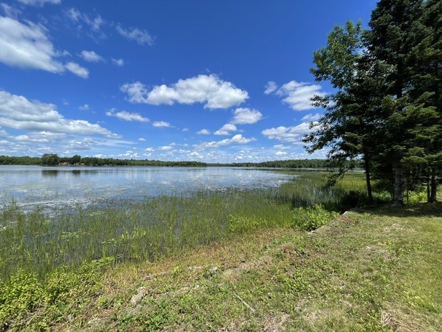 8262 N Blaisdell Lake Road Winter, WI 54896 - Photo 4 of 4