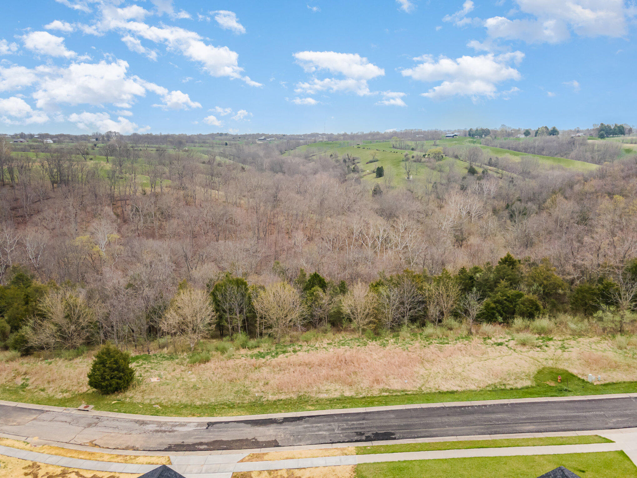 Lot 29 Saddlebrook Lane Dry Ridge, KY 41035 - Photo 13 of 17