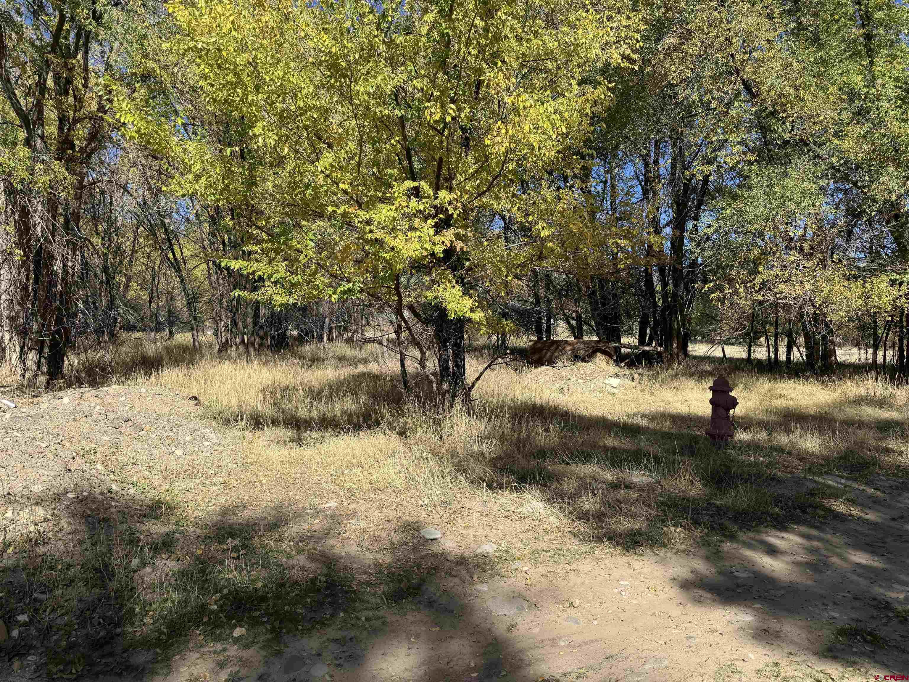 Lot 2 Price Road Paonia, CO 81428 - Photo 12 of 18