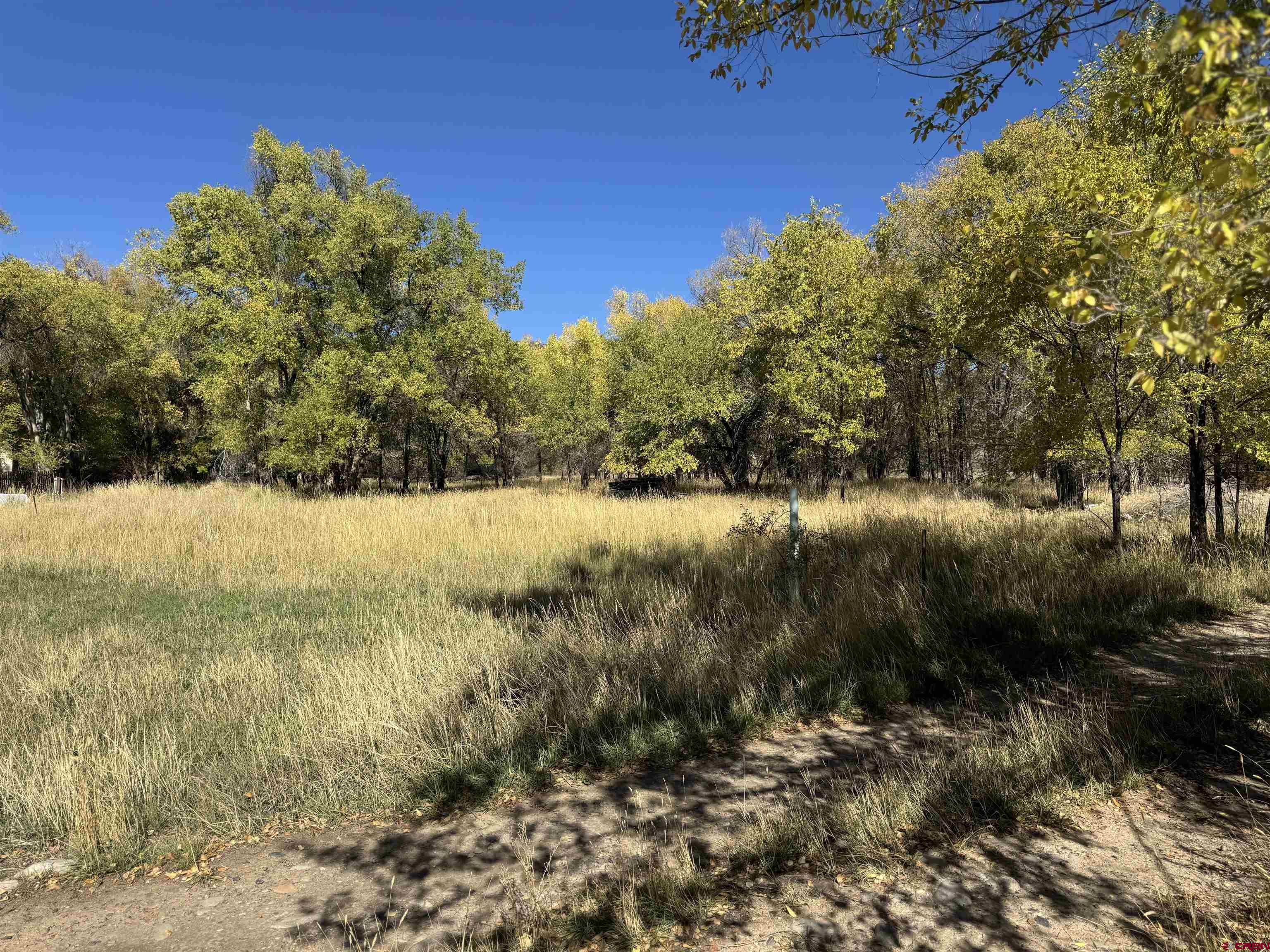 Lot 2 Price Road Paonia, CO 81428 - Photo 18 of 18