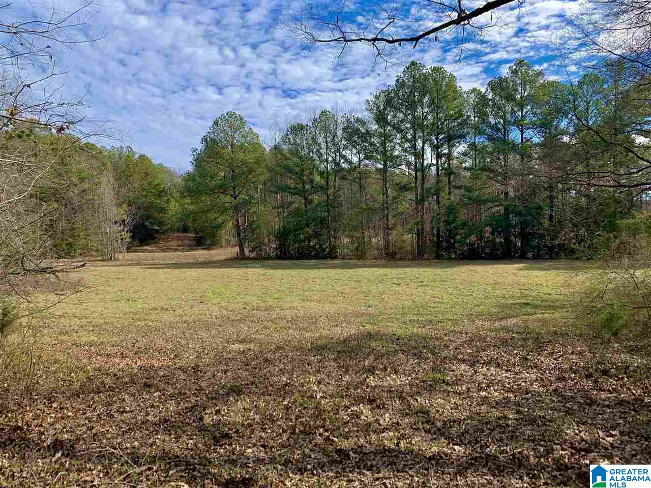 0 County Road 16 Calera, AL 35040 - Photo 1 of 22
