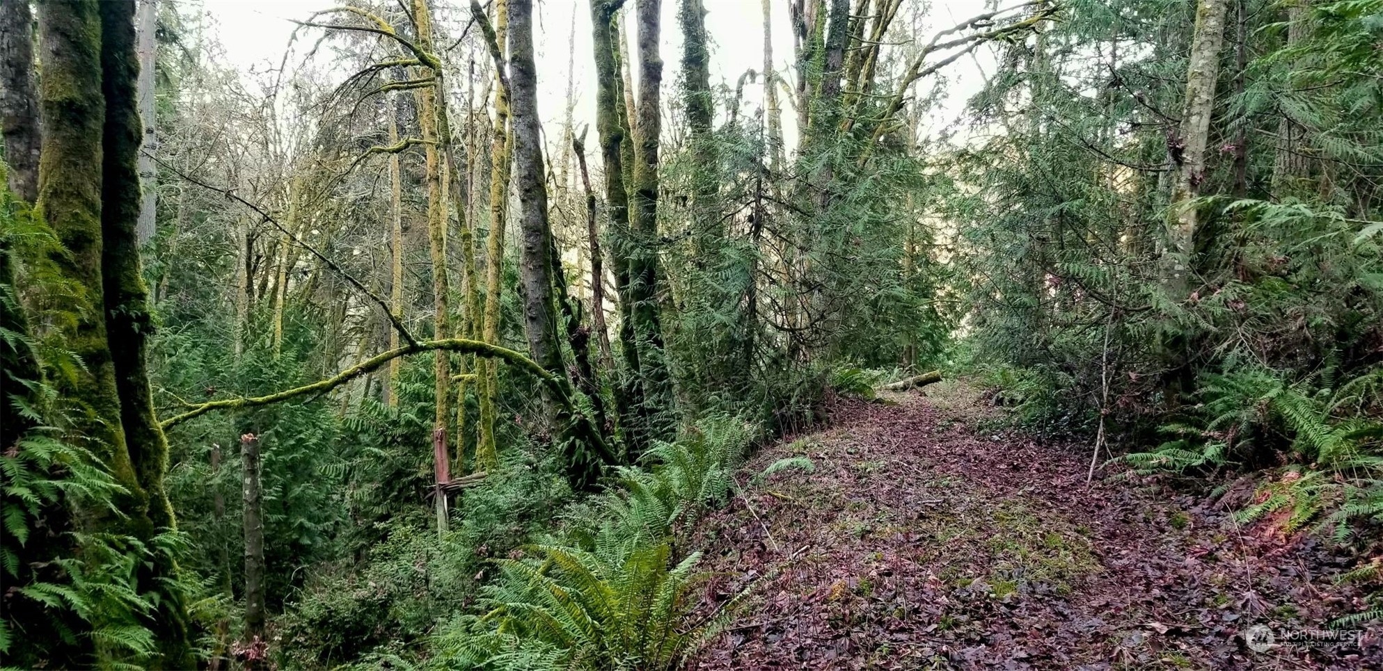 11201 Southwest Cedarhurst Road Vashon, WA 98070 - Photo 2 of 5
