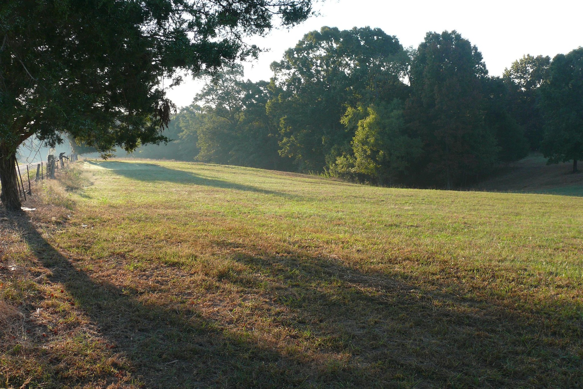 0 Jesse Work Road Dickson, TN 37055 - Photo 3 of 4