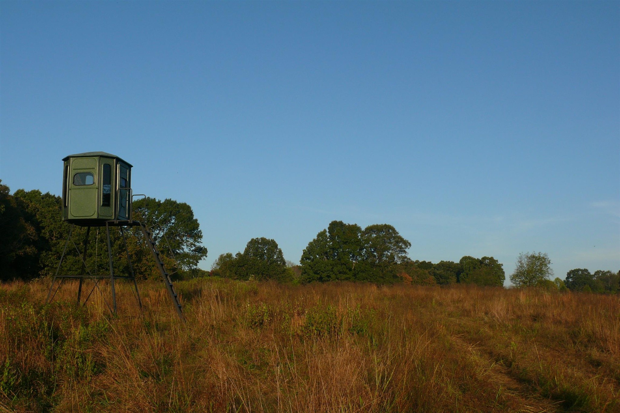 0 Jesse Work Road Dickson, TN 37055 - Photo 4 of 4