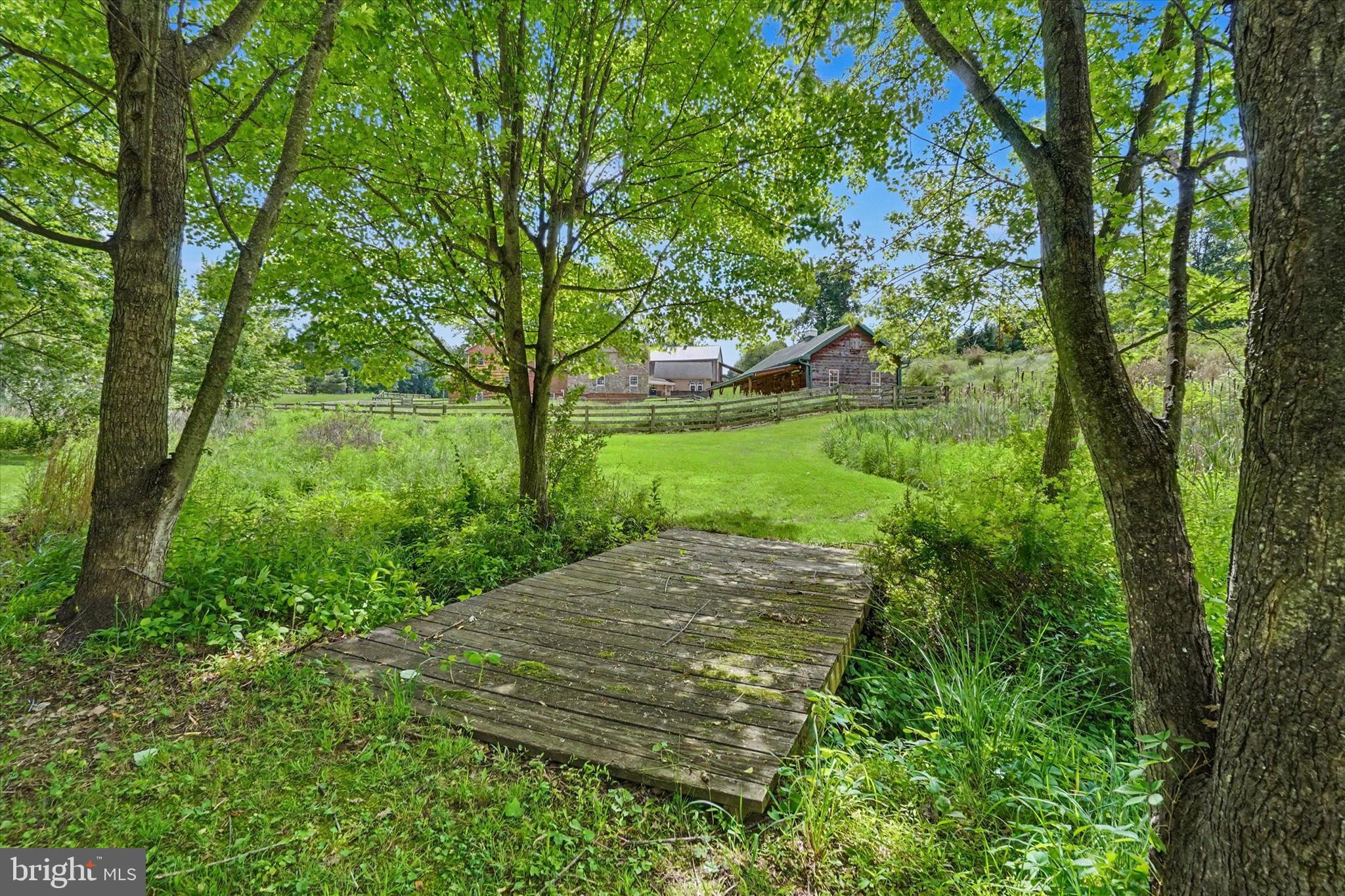 4941 Walters Hatchery Road Spring Grove, PA 17362 - Photo 29 of 71 a view of a yard with plants and a large tree