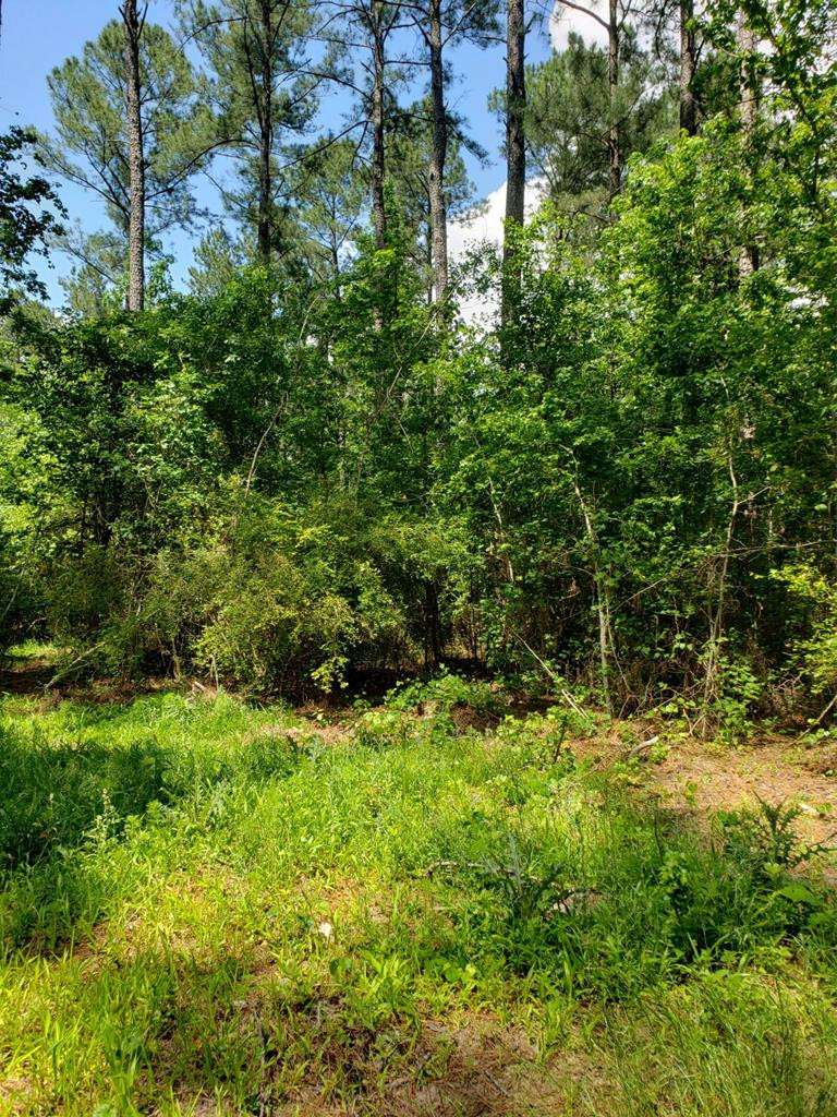0 County Line Road Thomson, GA 30824 - Photo 3 of 12