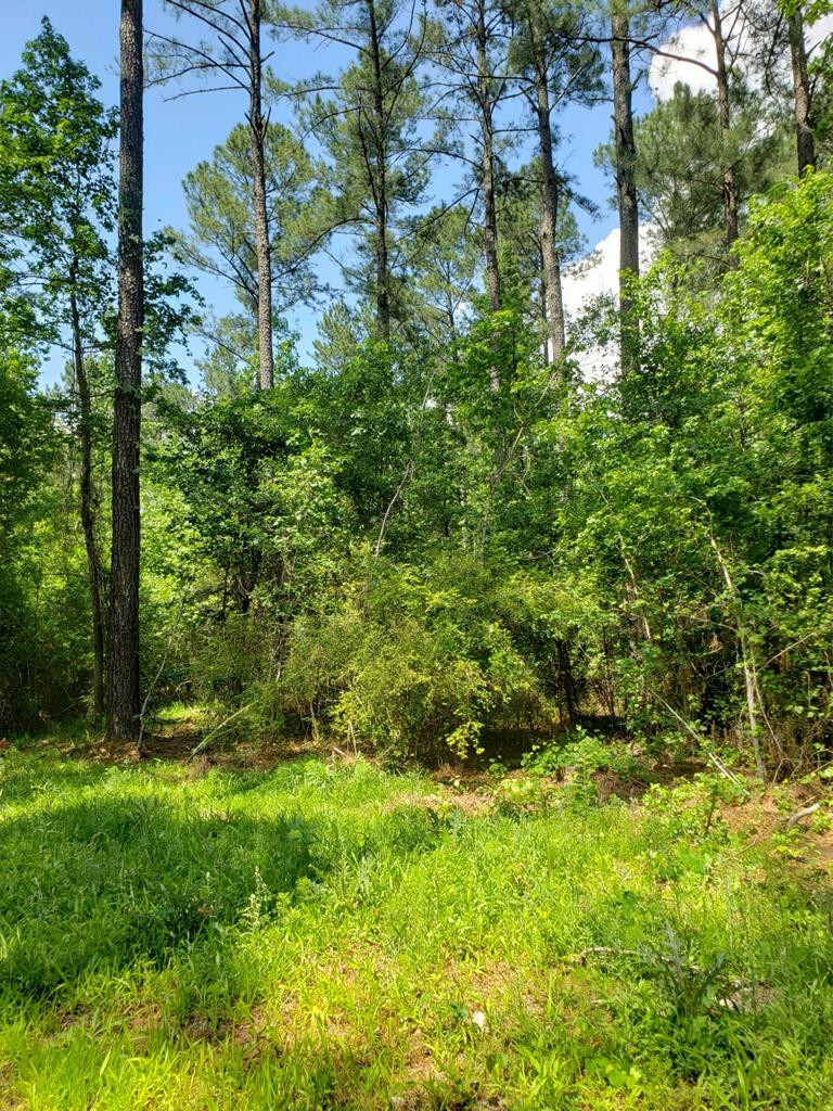 0 County Line Road Thomson, GA 30824 - Photo 4 of 12