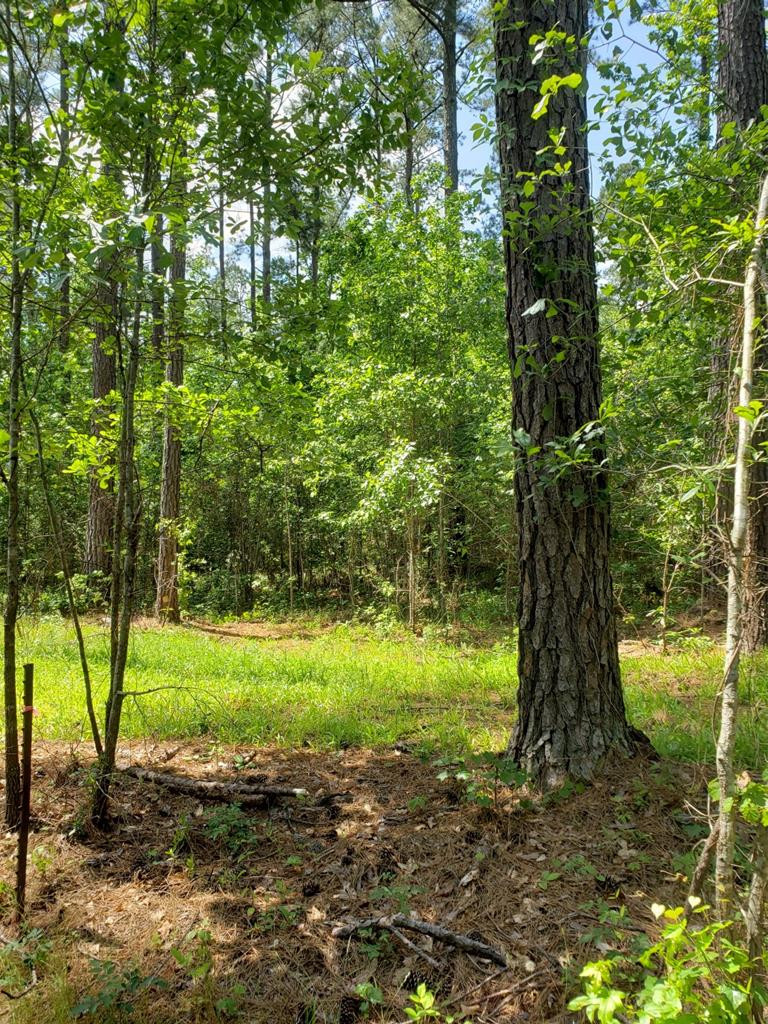 0 County Line Road Thomson, GA 30824 - Photo 5 of 12