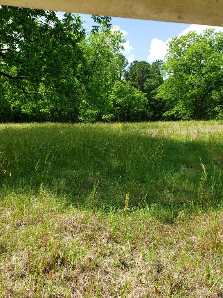 0 County Line Road Thomson, GA 30824 - Photo 7 of 12