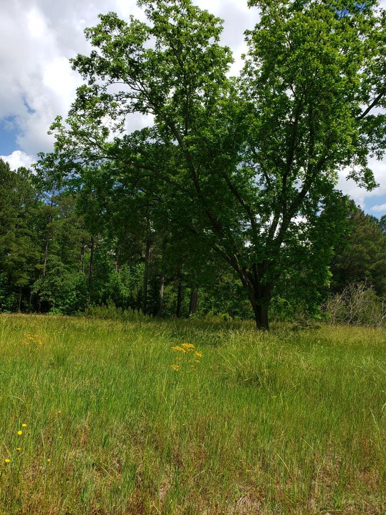 0 County Line Road Thomson, GA 30824 - Photo 8 of 12