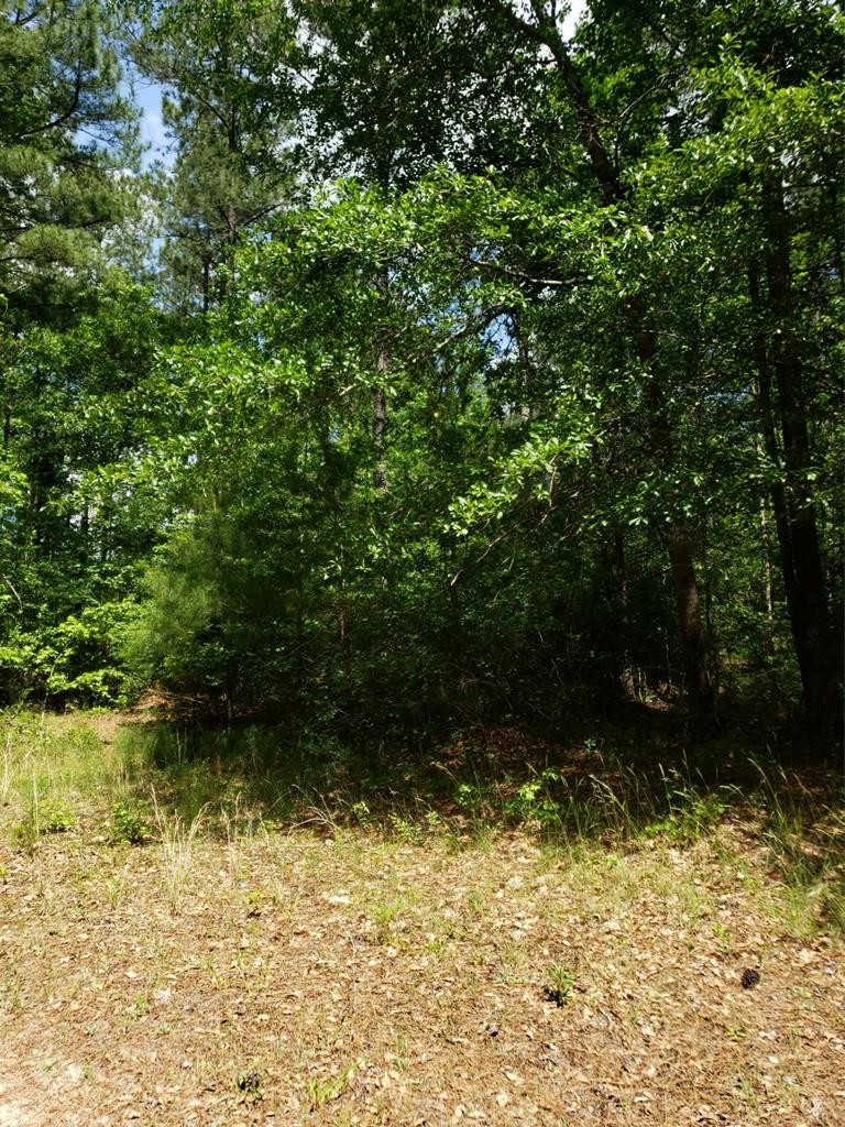 0 County Line Road Thomson, GA 30824 - Photo 9 of 12