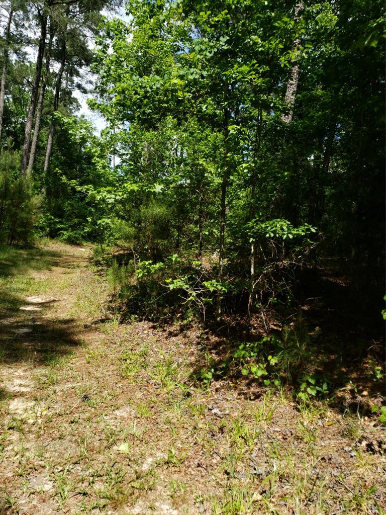 0 County Line Road Thomson, GA 30824 - Photo 10 of 12
