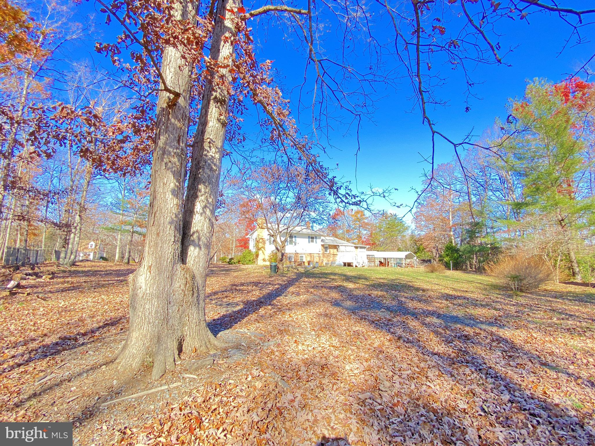 18672 Brick Church Road Orange, VA 22960 - Photo 4 of 22 Gallery Image 4