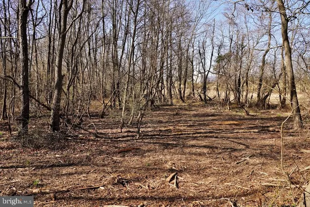 $450,000 | Shushan Lane, Lovettsville, VA 20180