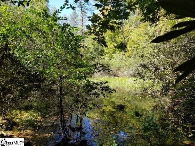 312 Mill Creek Road Sunset, SC 29685 - Photo 14 of 22 Gallery Image 14