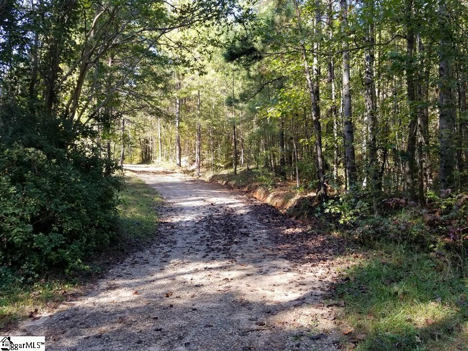 312 Mill Creek Road Sunset, SC 29685 - Photo 19 of 22 Gallery Image 19