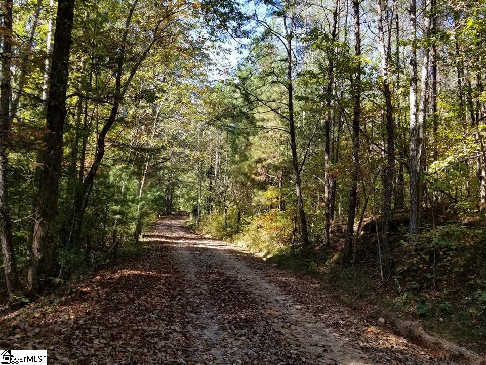 312 Mill Creek Road Sunset, SC 29685 - Photo 20 of 22 Gallery Image 20