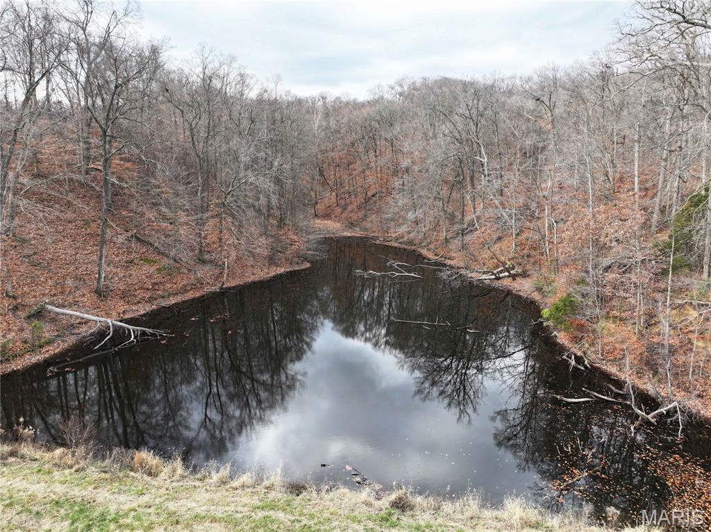 210 Pcr 210 Perryville, MO 63775 - Photo 4 of 67