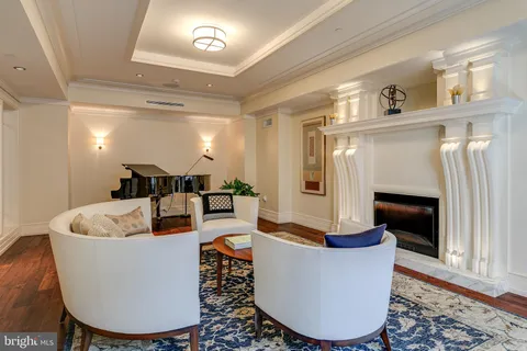 a living room with furniture a fireplace and a potted plant