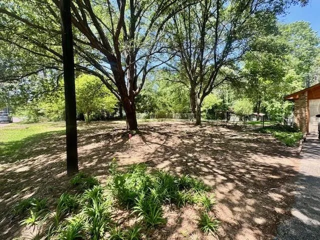 a view of a tree with a yard