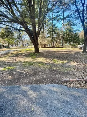 a view of dirt yard with a large tree