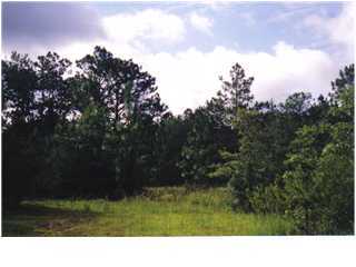 1 Davidson Road DeFuniak Springs, FL 32433 - Photo 1 of 1 Primary Photo