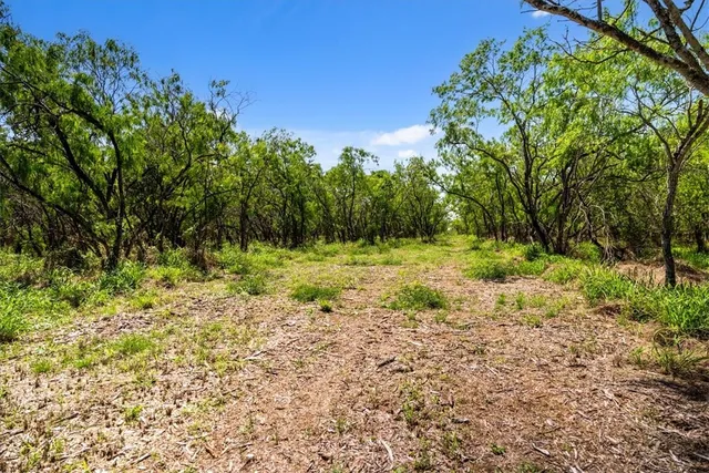 a view of outdoor space with trees all around