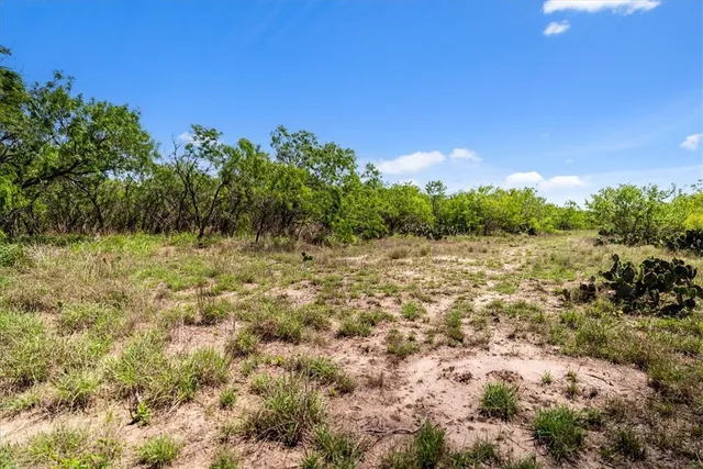 a view of a lake with a yard