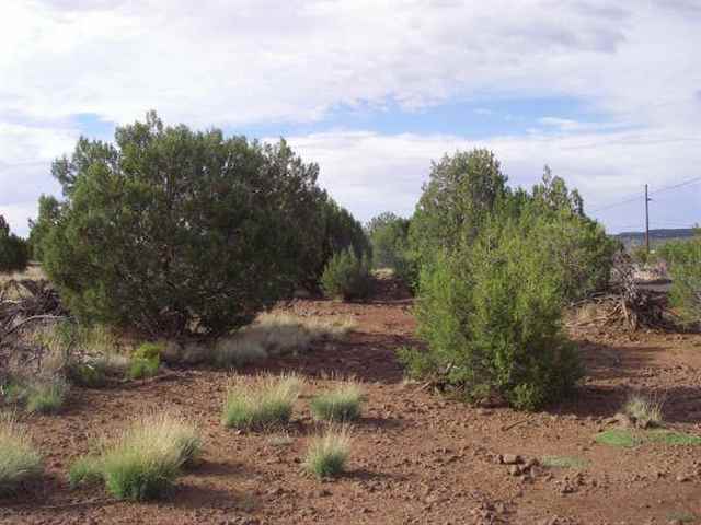 15 C Parker Ranch Road Concho, AZ 85924 - Photo 2 of 2