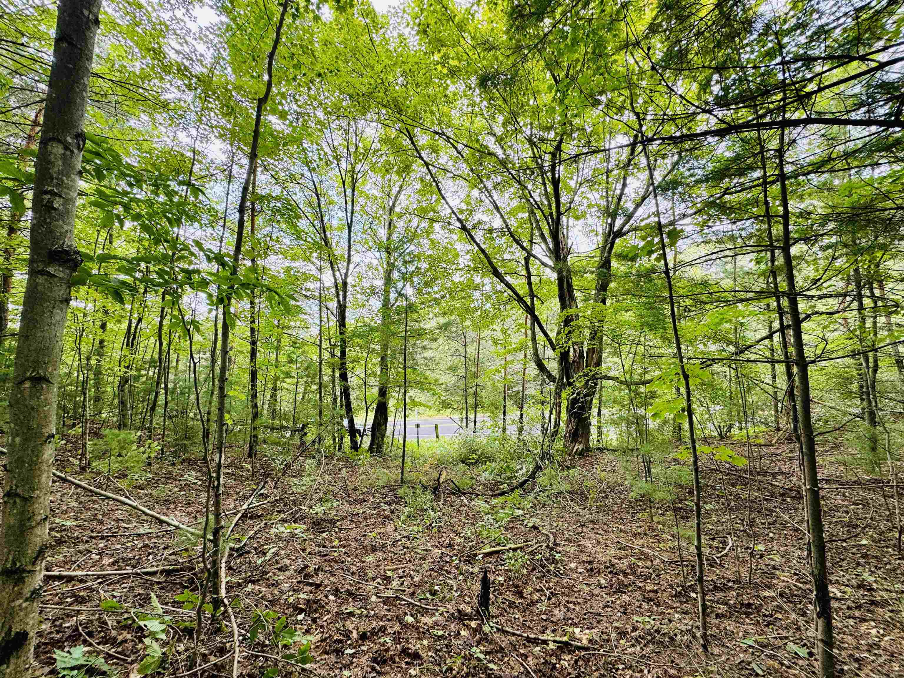 0 West Osborn Road Empire, MI 49630 - Photo 3 of 14 Gallery Image 3