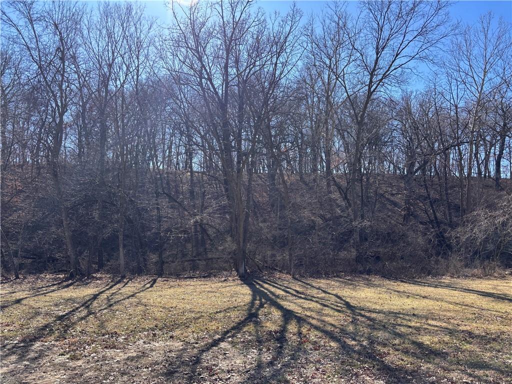 4201 Northeast Staley Road Kansas City, MO 64156 - Photo 3 of 4