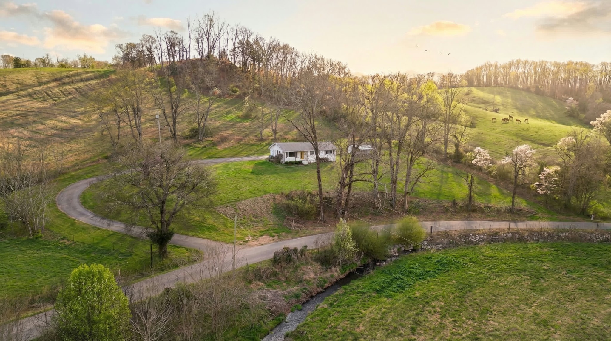 1120 Bull Run Road Lynchburg, TN 37352 - Photo 12 of 36