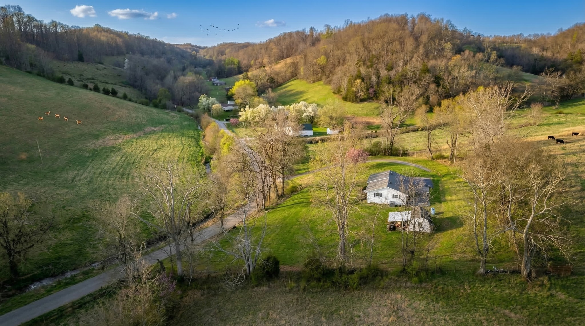 1120 Bull Run Road Lynchburg, TN 37352 - Photo 14 of 36