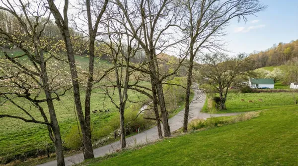 a view of a park with large trees