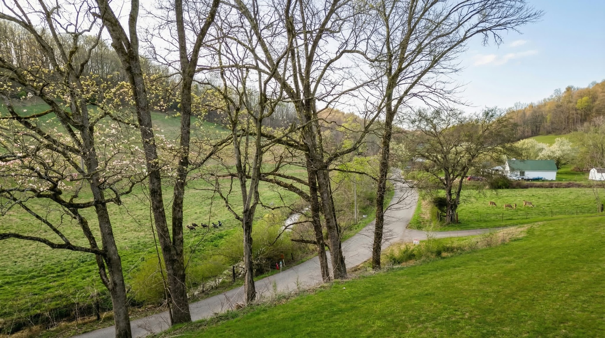 1120 Bull Run Road Lynchburg, TN 37352 - Photo 17 of 36