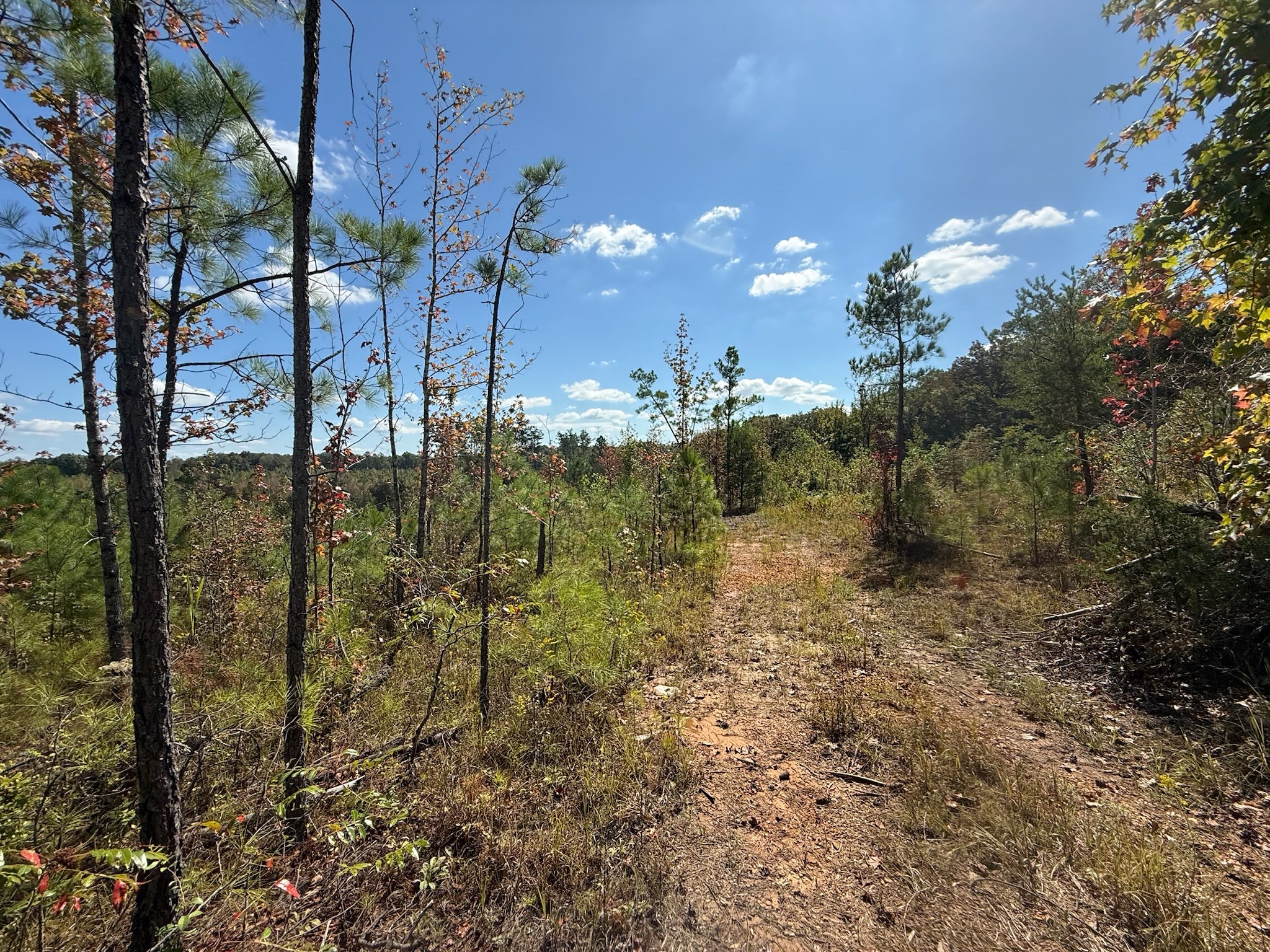 4 Leapwood Enville Road Adamsville, TN 38310 - Photo 4 of 13 a view of a house with a yard