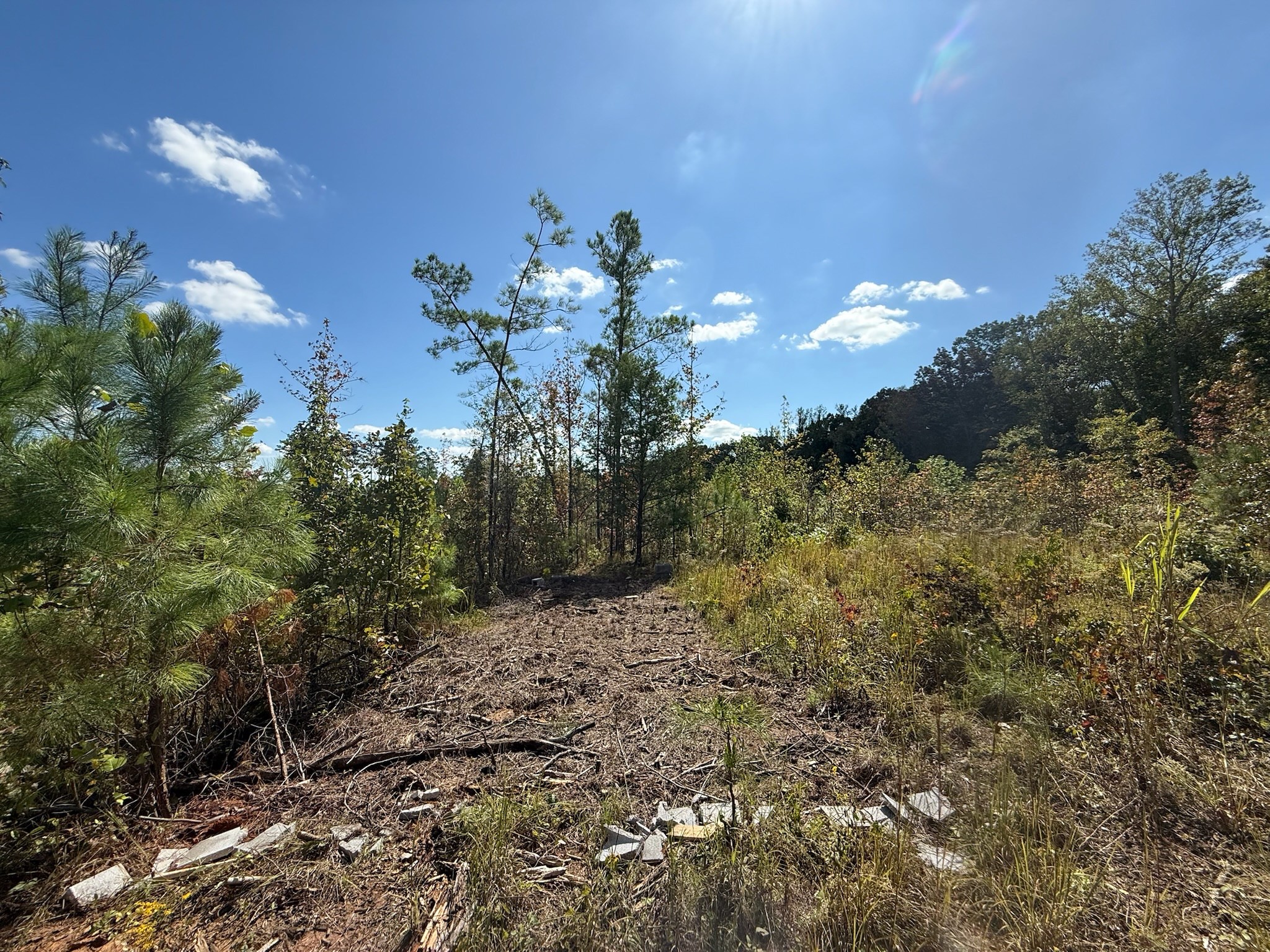 4 Leapwood Enville Road Adamsville, TN 38310 - Photo 5 of 13 a view of a house with a yard