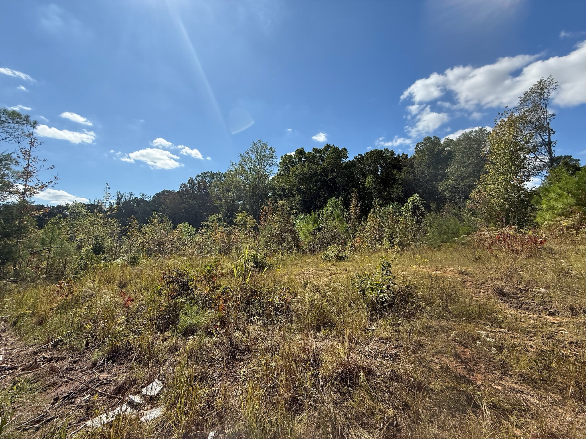 4 Leapwood Enville Road Adamsville, TN 38310 - Photo 6 of 13 a view of a city