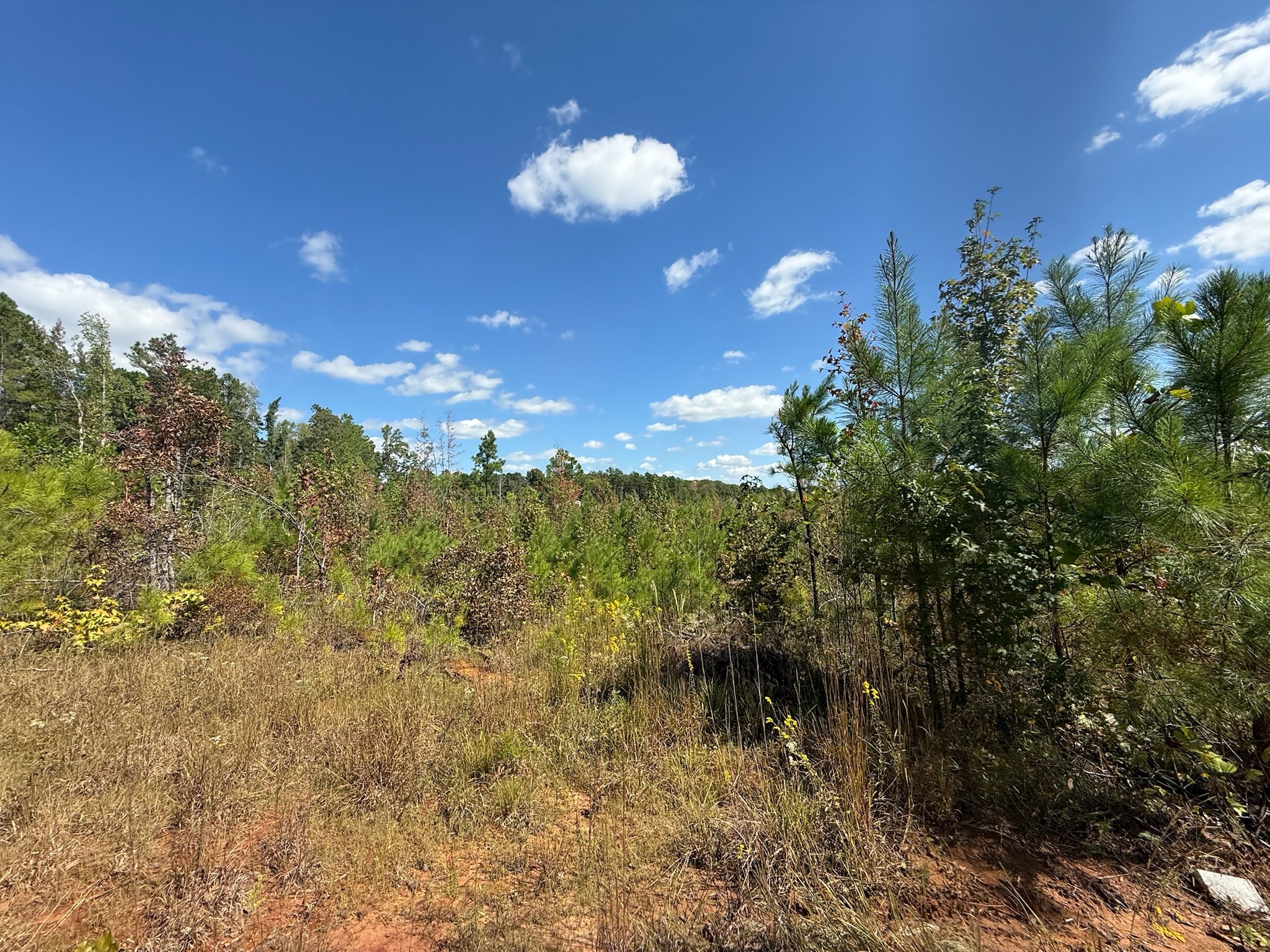 4 Leapwood Enville Road Adamsville, TN 38310 - Photo 7 of 13 a view of a balcony with golf course