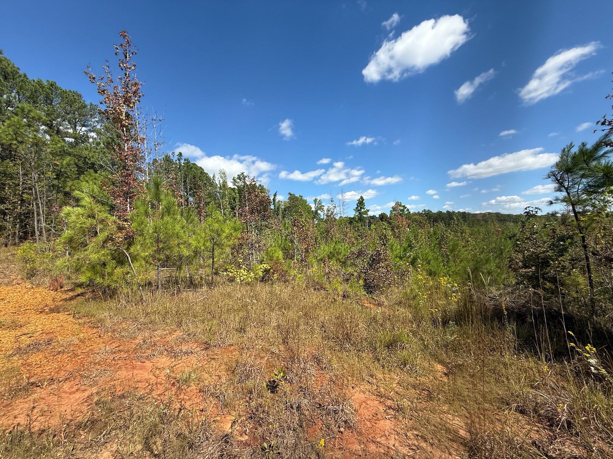 4 Leapwood Enville Road Adamsville, TN 38310 - Photo 8 of 13 a view of a lake