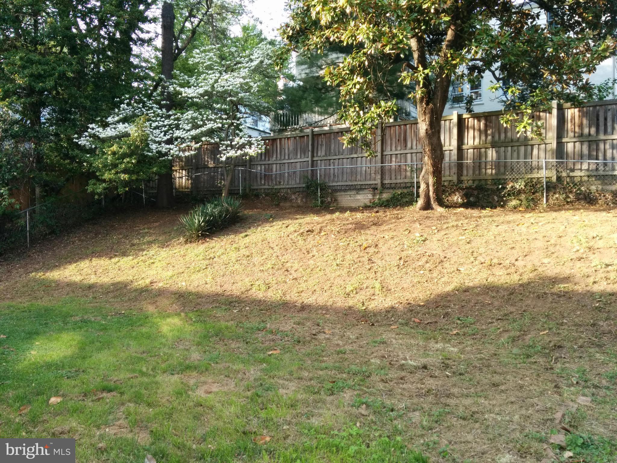 4635 River Road Bethesda, MD 20816 - Photo 20 of 22 View
